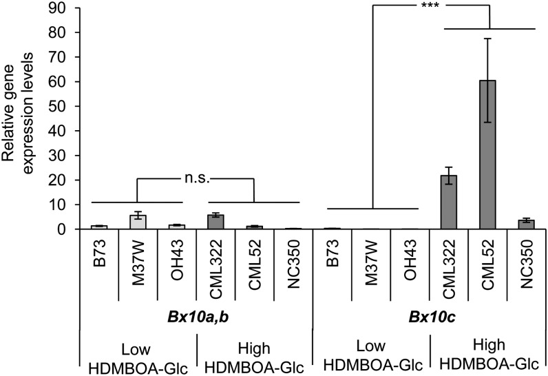 Figure 5.