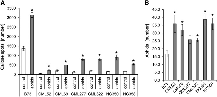 Figure 10.