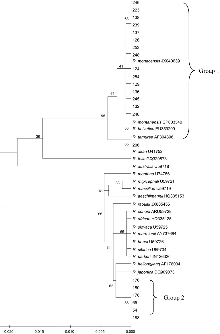 Fig. 2