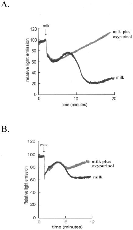 FIG. 5.