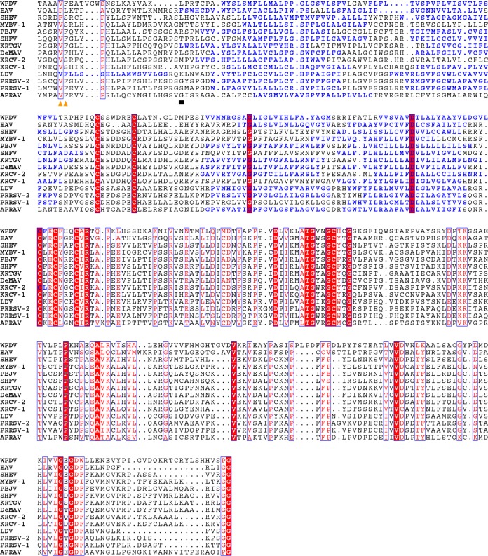 FIG 13