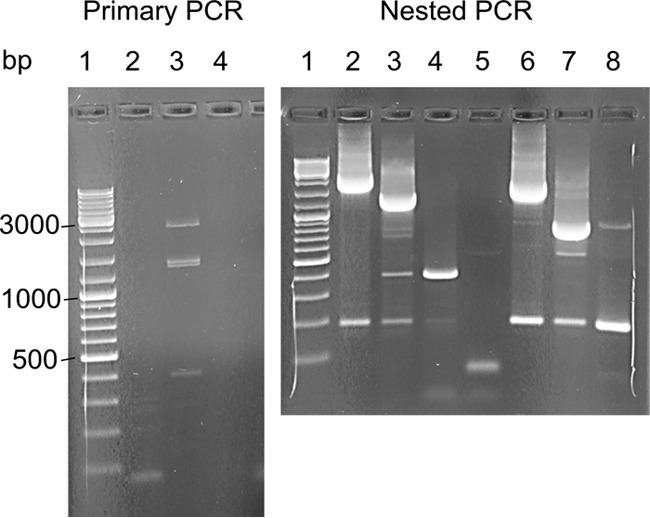 FIG 2