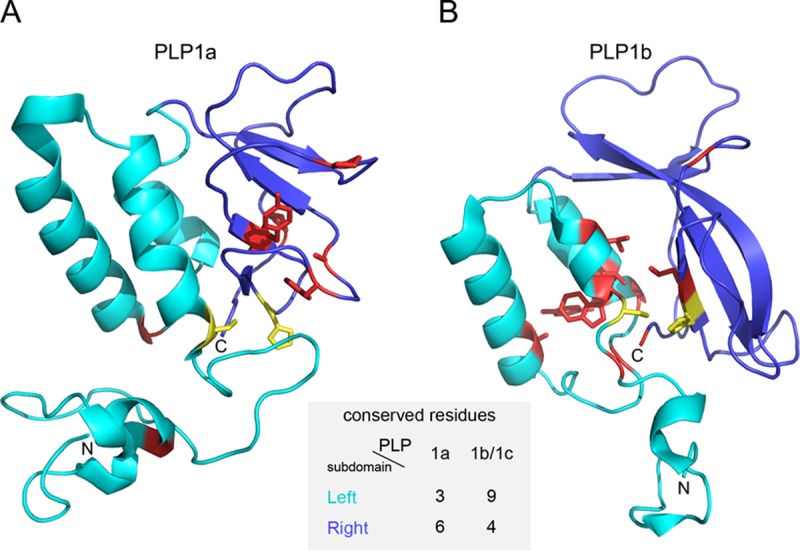 FIG 11