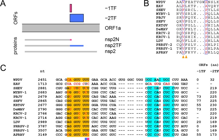 FIG 14