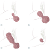 Fig. 2.