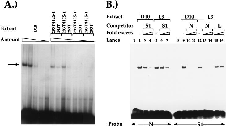 FIG. 3