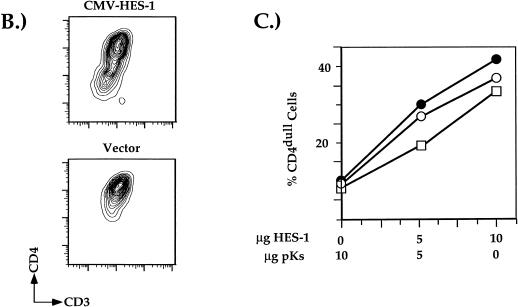 FIG. 6