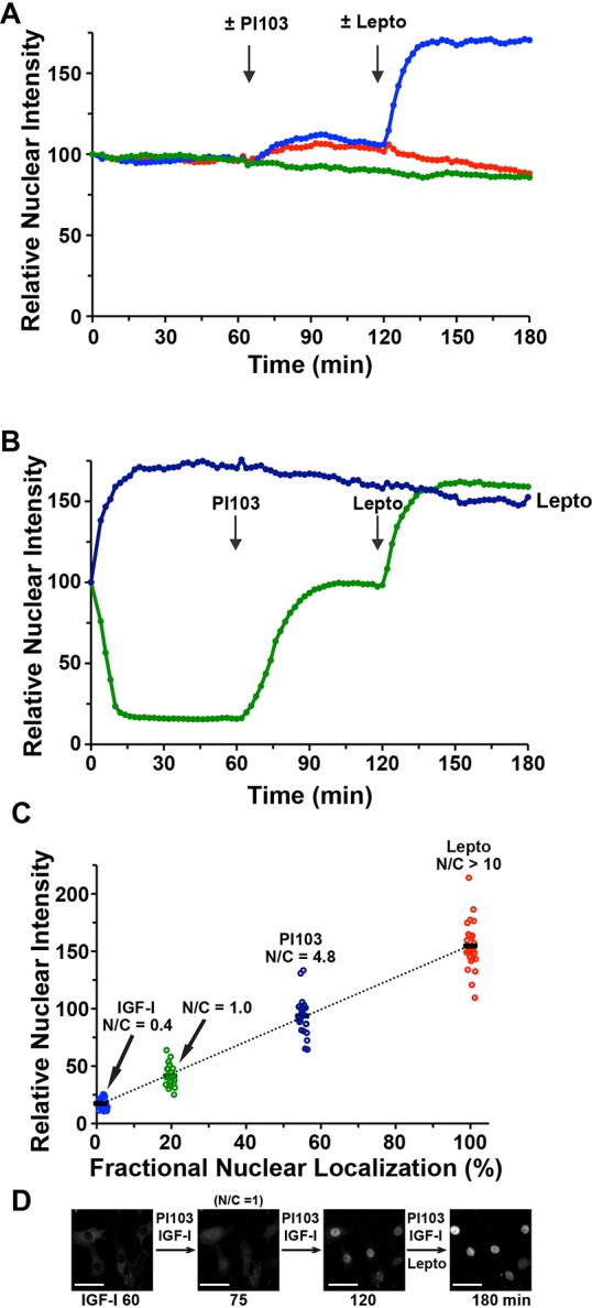 Fig. 8.