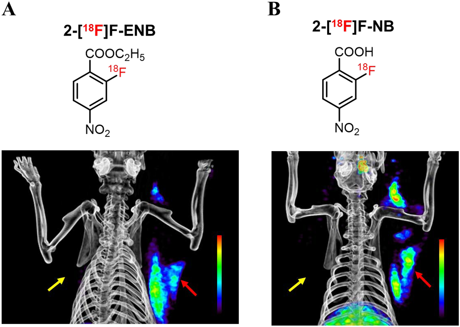 Figure 7.