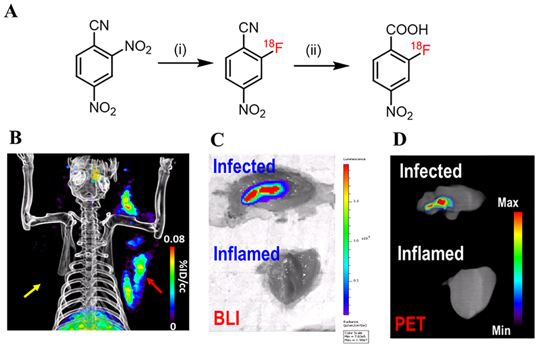 Figure 5: