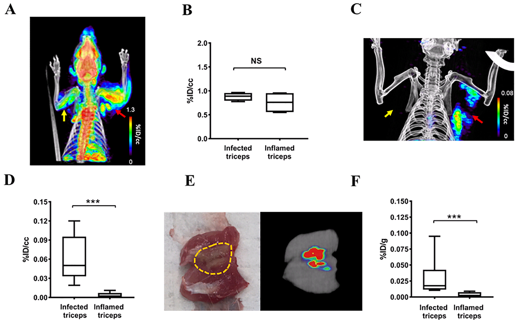 Figure 2: