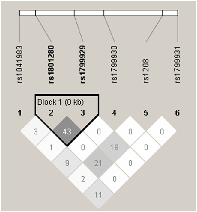 FIGURE 1