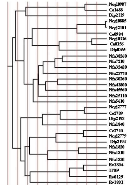 Figure 2(a)