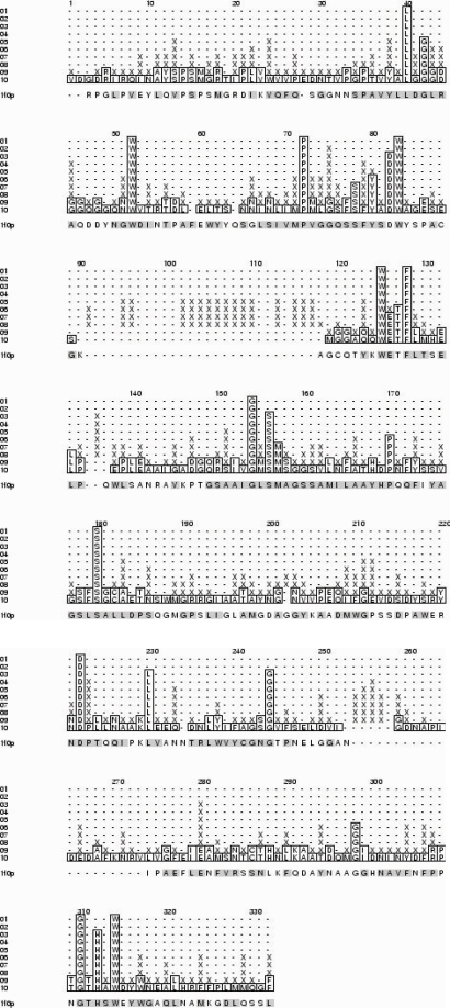 Figure 2(b)