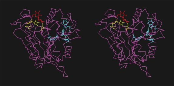 Figure 3(a)