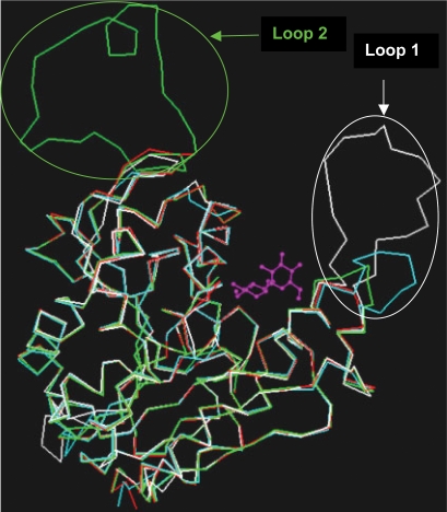 Figure 3(b)