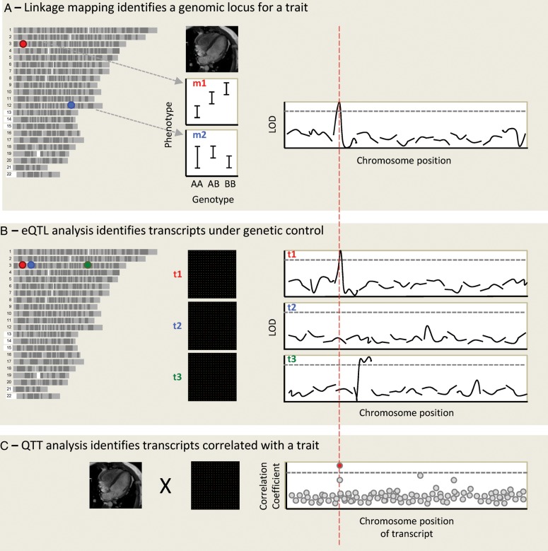 Figure 2