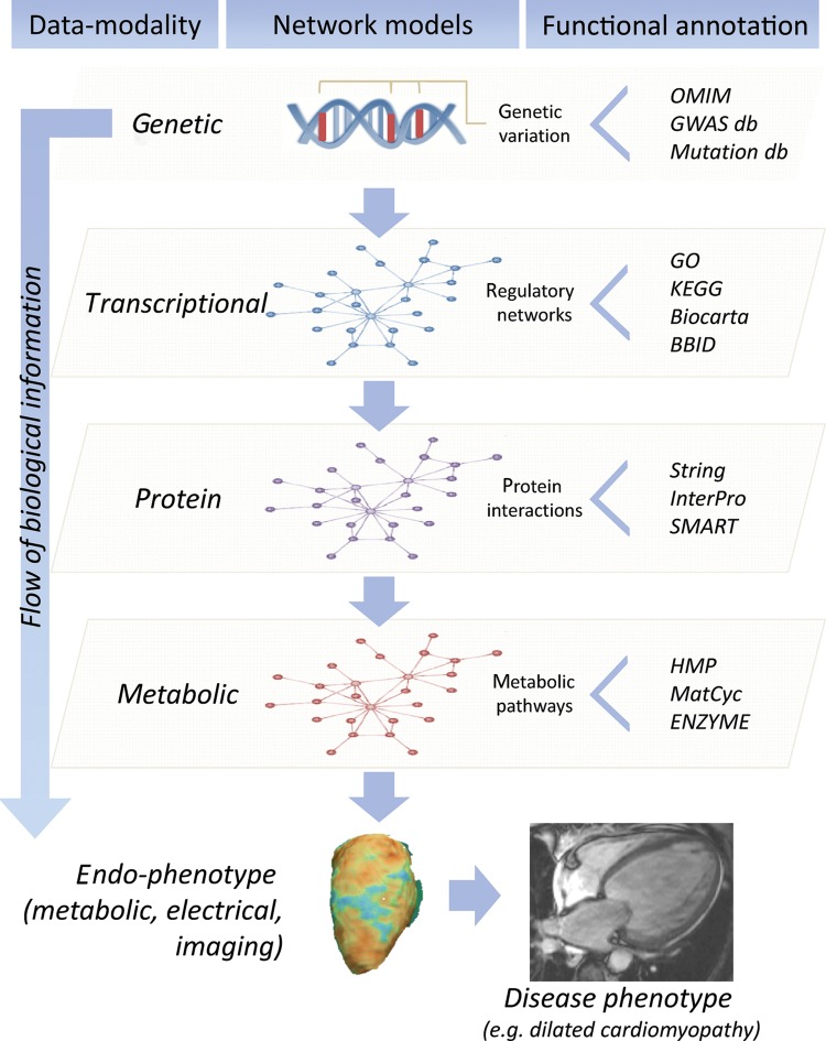 Figure 1