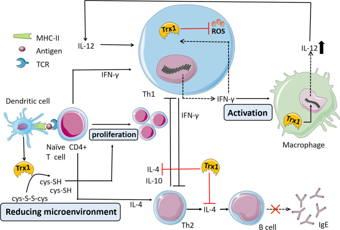 Figure 2