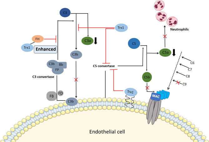 Figure 3