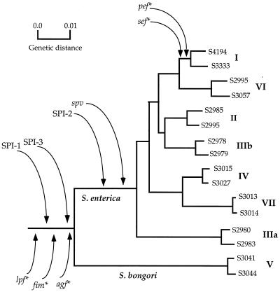 FIG. 5