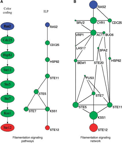 Figure 4.