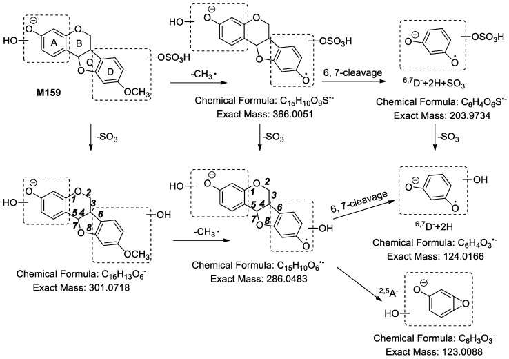 Figure 13