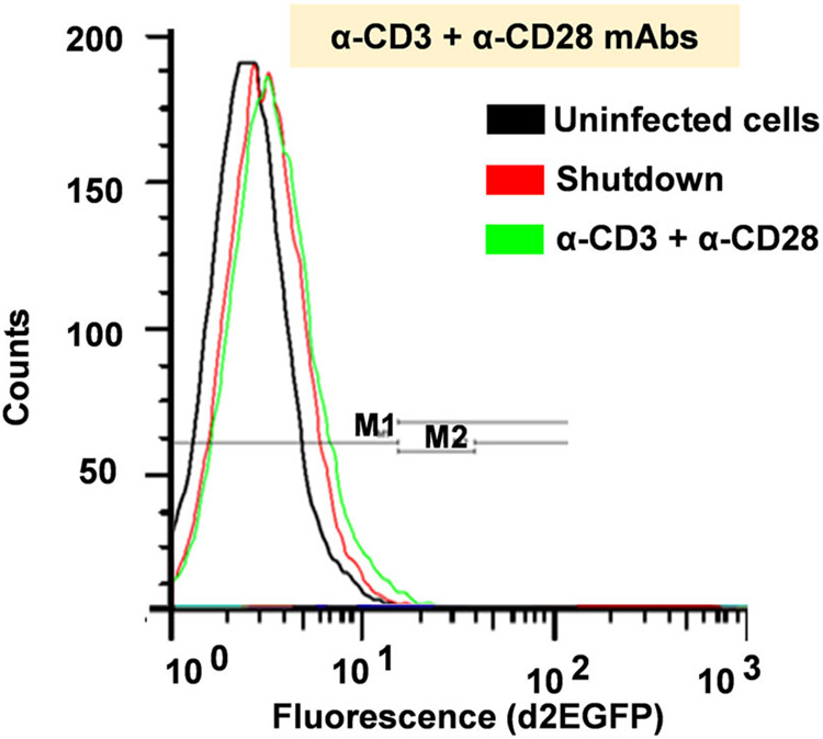 Fig. 10.