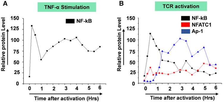 Fig. 11.