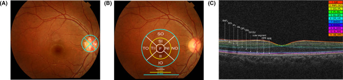 FIGURE 2