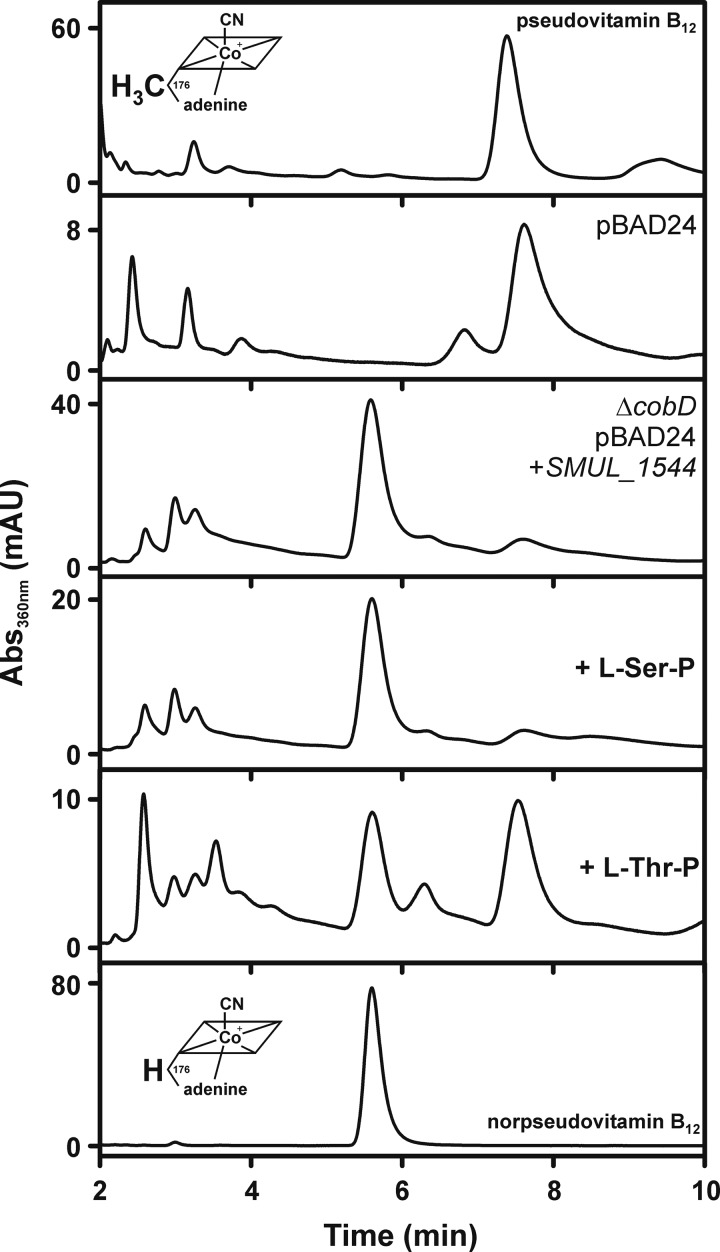 FIG 3