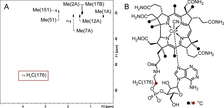 FIG 6