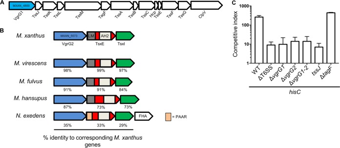 FIG 4 