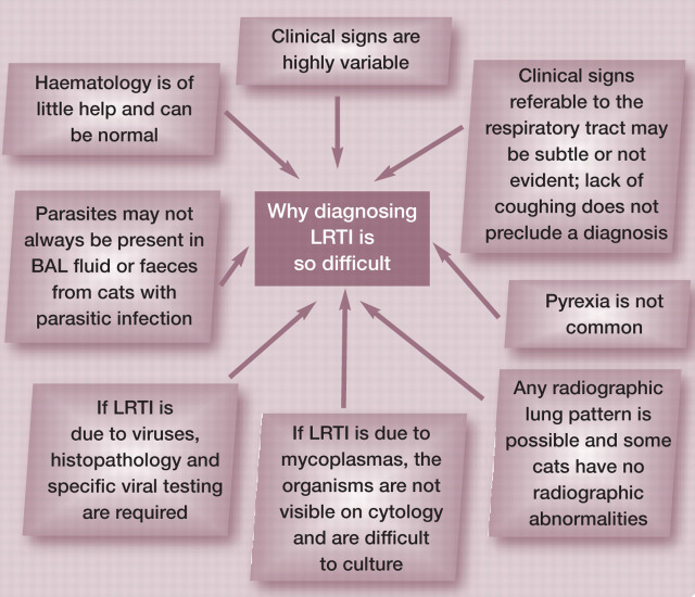 graphic file with name 10.1016_j.jfms.2011.03.009-fig11.jpg