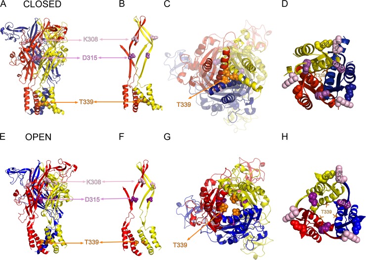 Figure 1.