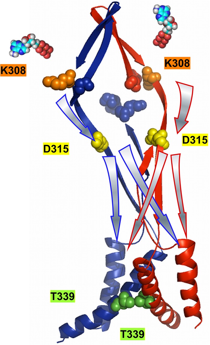 Figure 11.