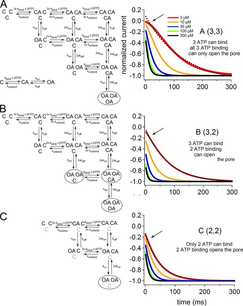 Figure 10.