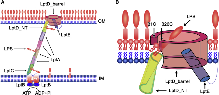 Figure 4