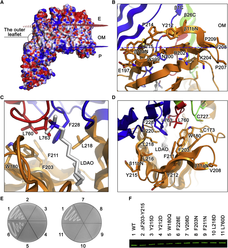 Figure 2