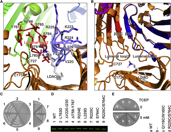 Figure 3