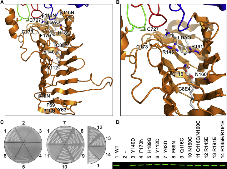 Figure 1