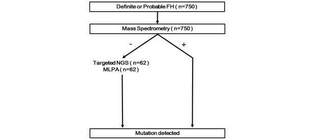 Fig.1. The algorithm for the genetic diagnosis of patients with definite or probable familial hypercholesterolemia (FH) enrolled in this study