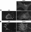 FIG. 10