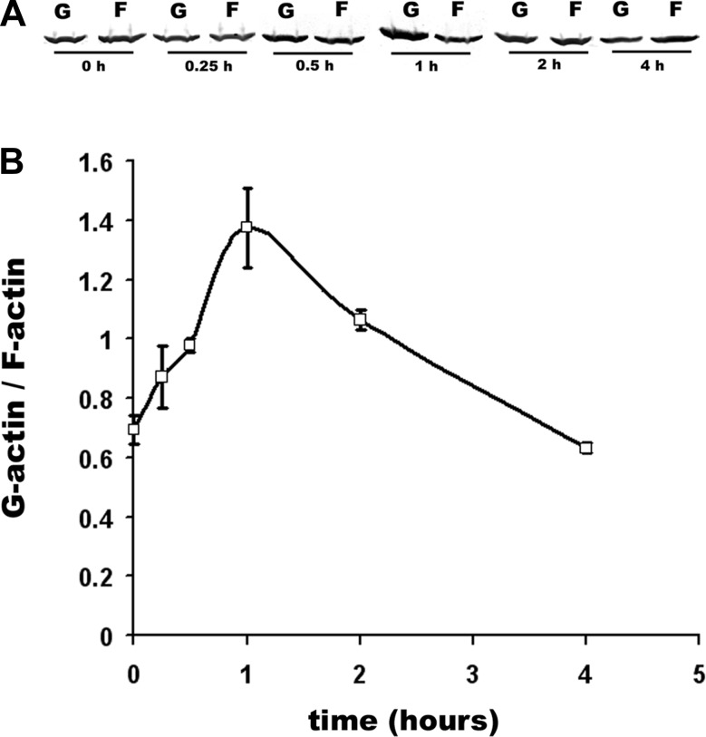 Fig. 6.