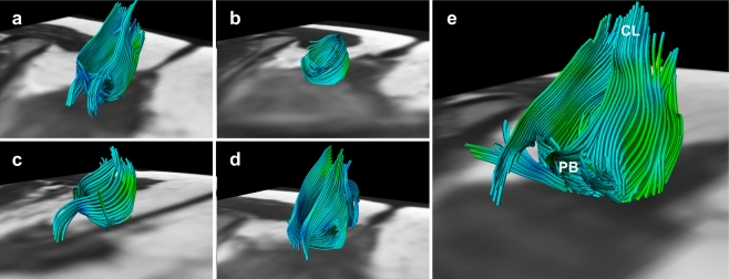 Fig. 3