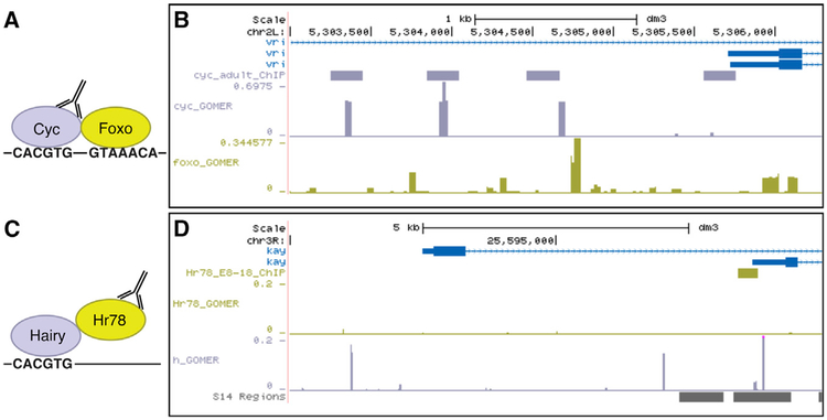 Figure 3.