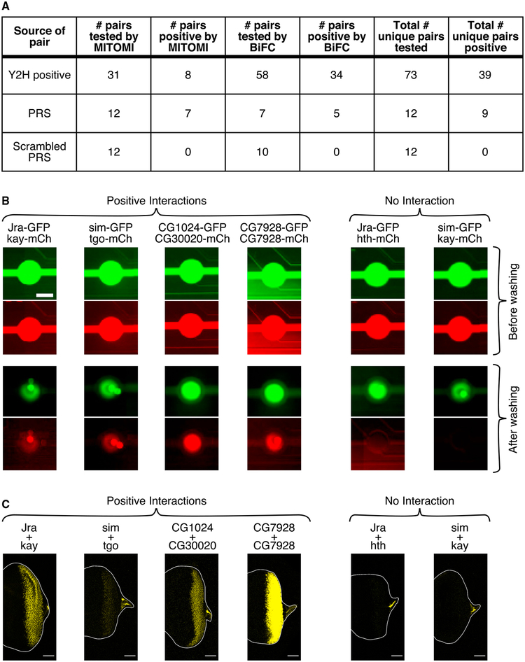 Figure 2.