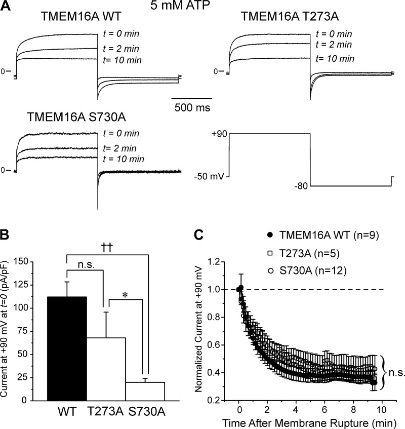 Fig. 8.