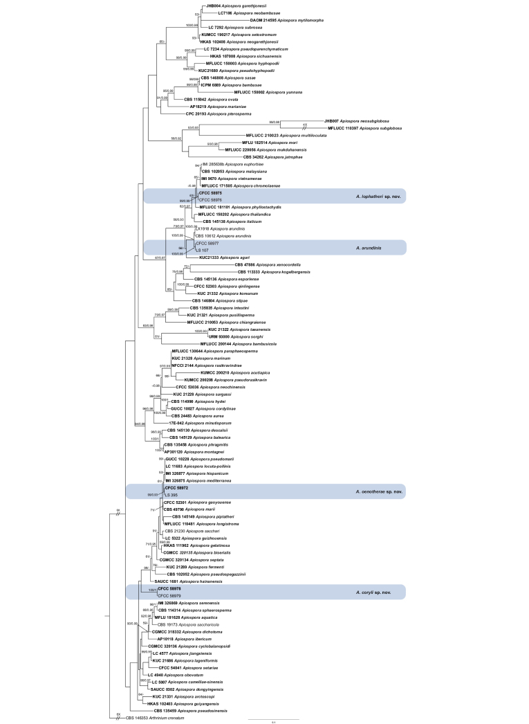 Figure 1.