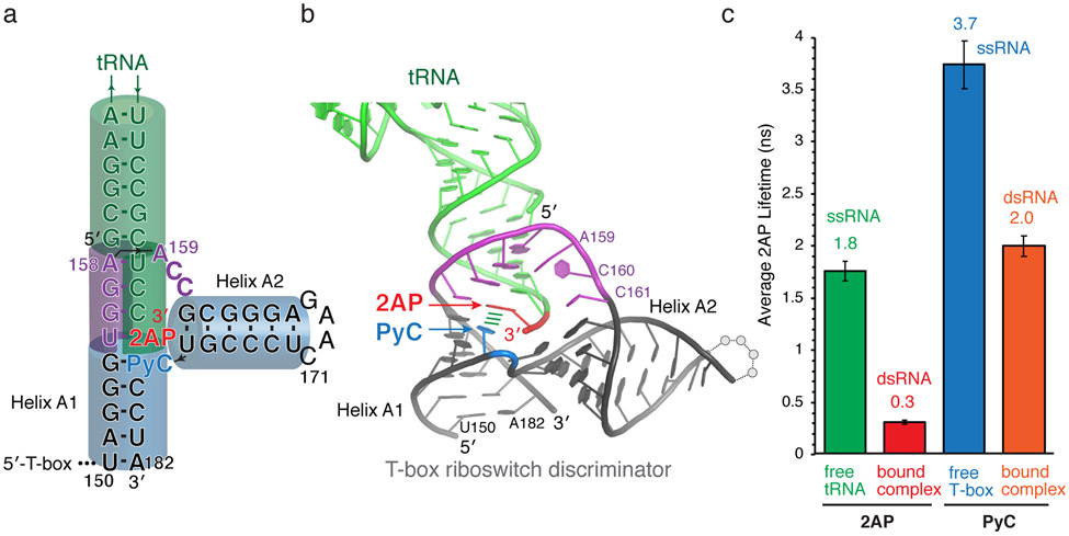 Fig. 3.